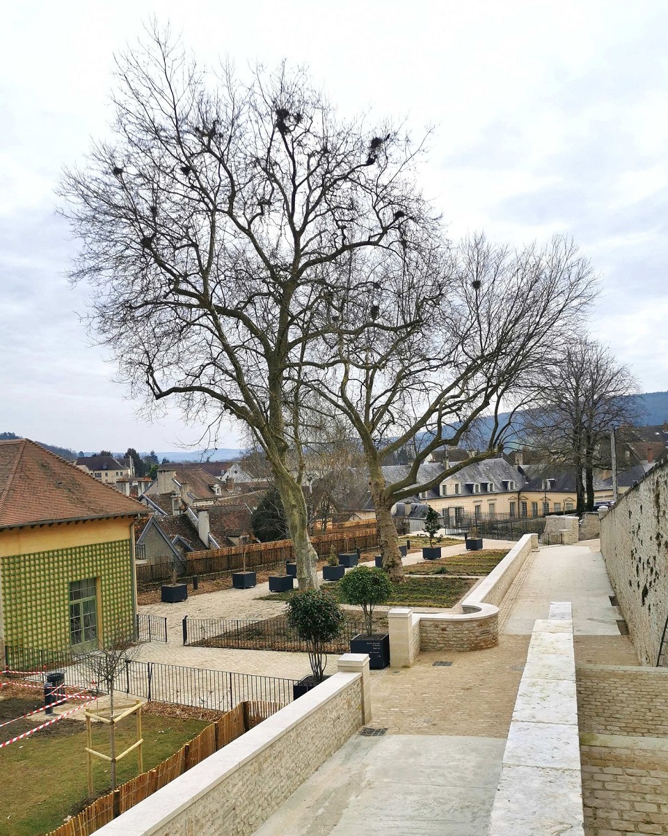 Pôle pédagogique redimensionnée